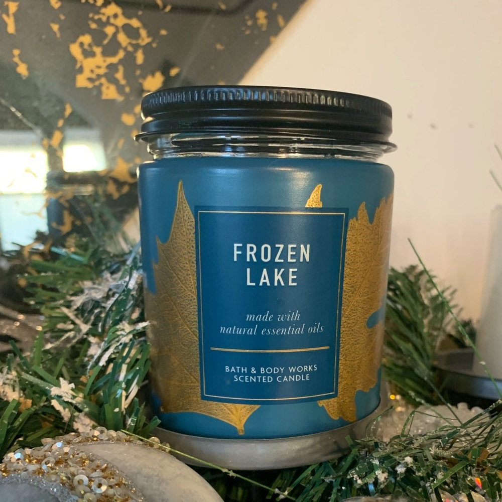 Bath and Body Works 2021 FROZEN LAKE Single Wick Candle